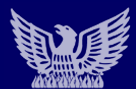 the phoenix players